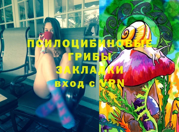 ПСИЛОЦИБИНОВЫЕ ГРИБЫ Новокубанск