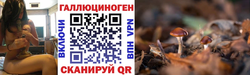 Галлюциногенные грибы Psilocybe Находка